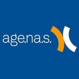 Azienda Nazionale per i Servizi Sanitari Regionali