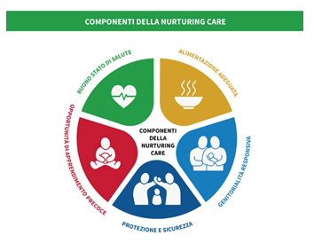 img - componenti della nurturing care