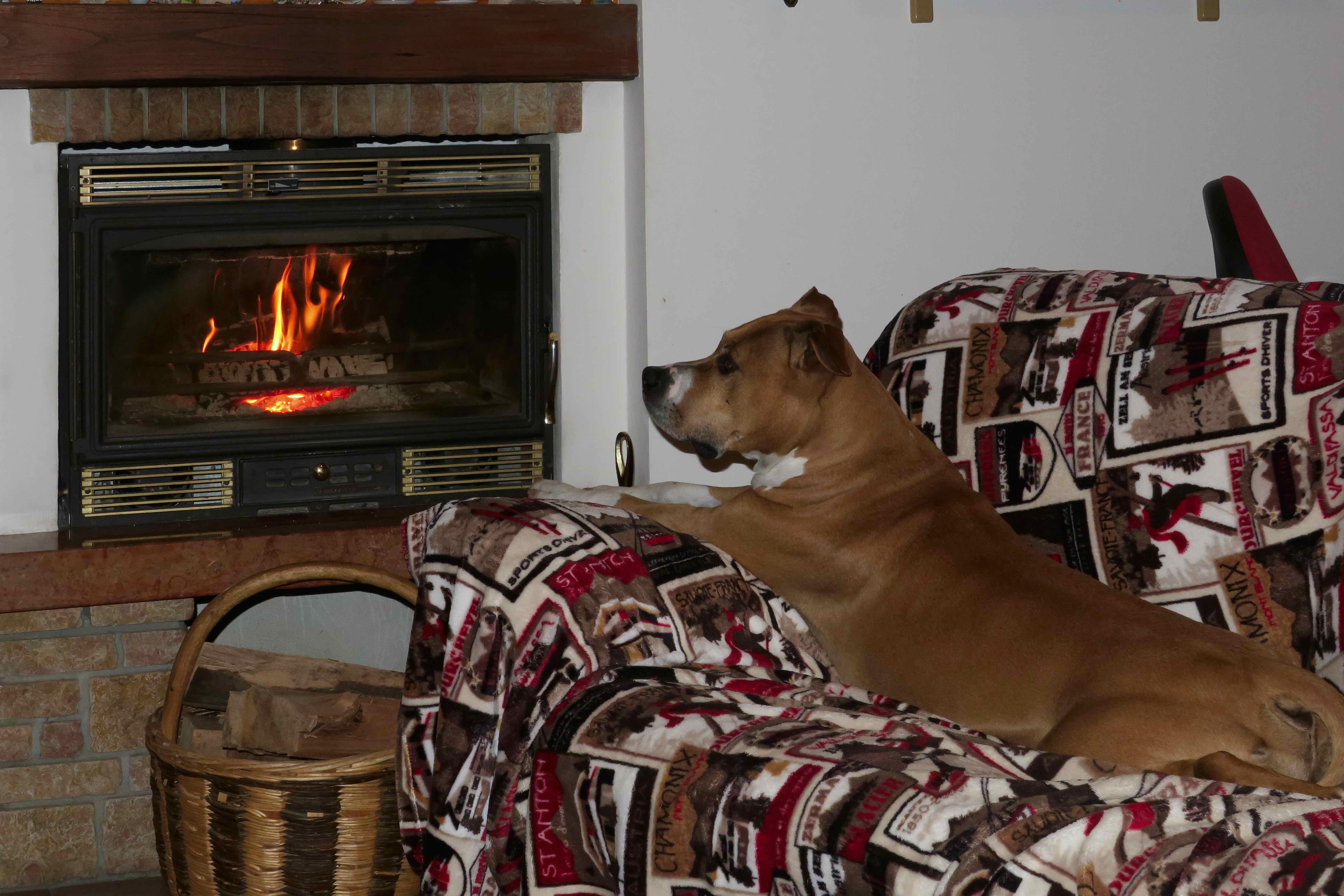 Claudia Bertolo - Soddisfazione di un duro lavoro