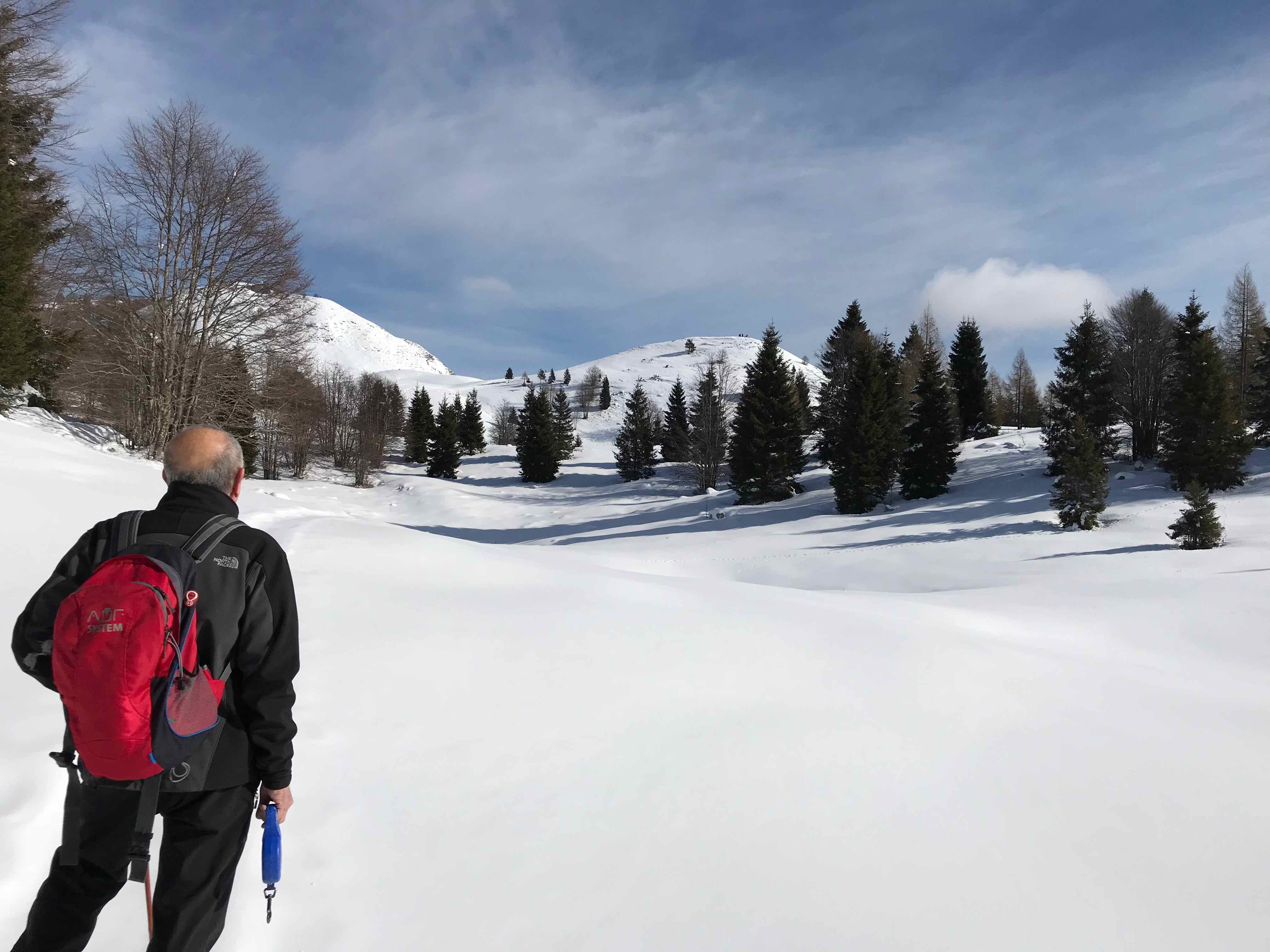 Alberto Babuin - Frammenti di natura