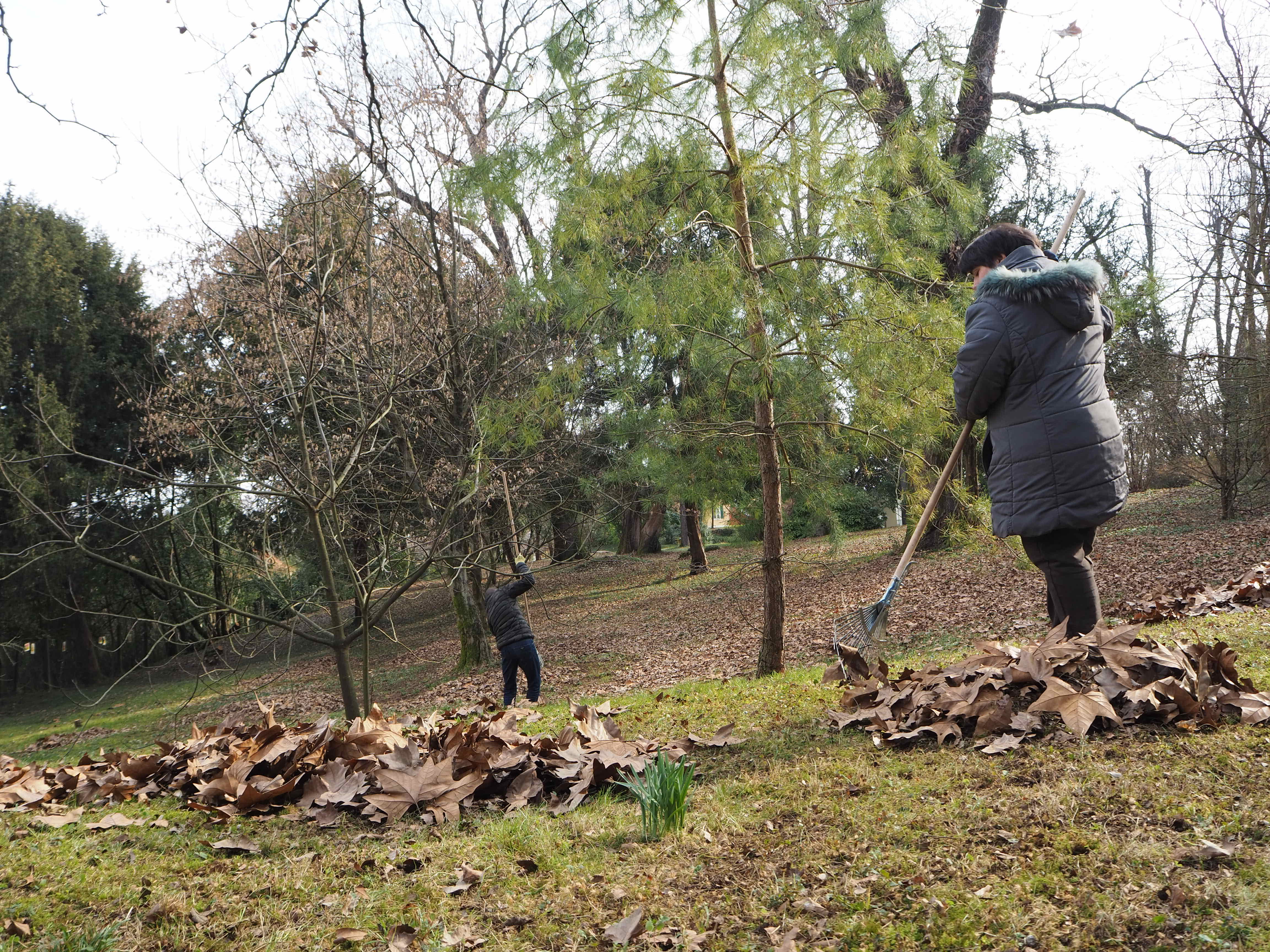 Maria Basaldella - La natura riposa