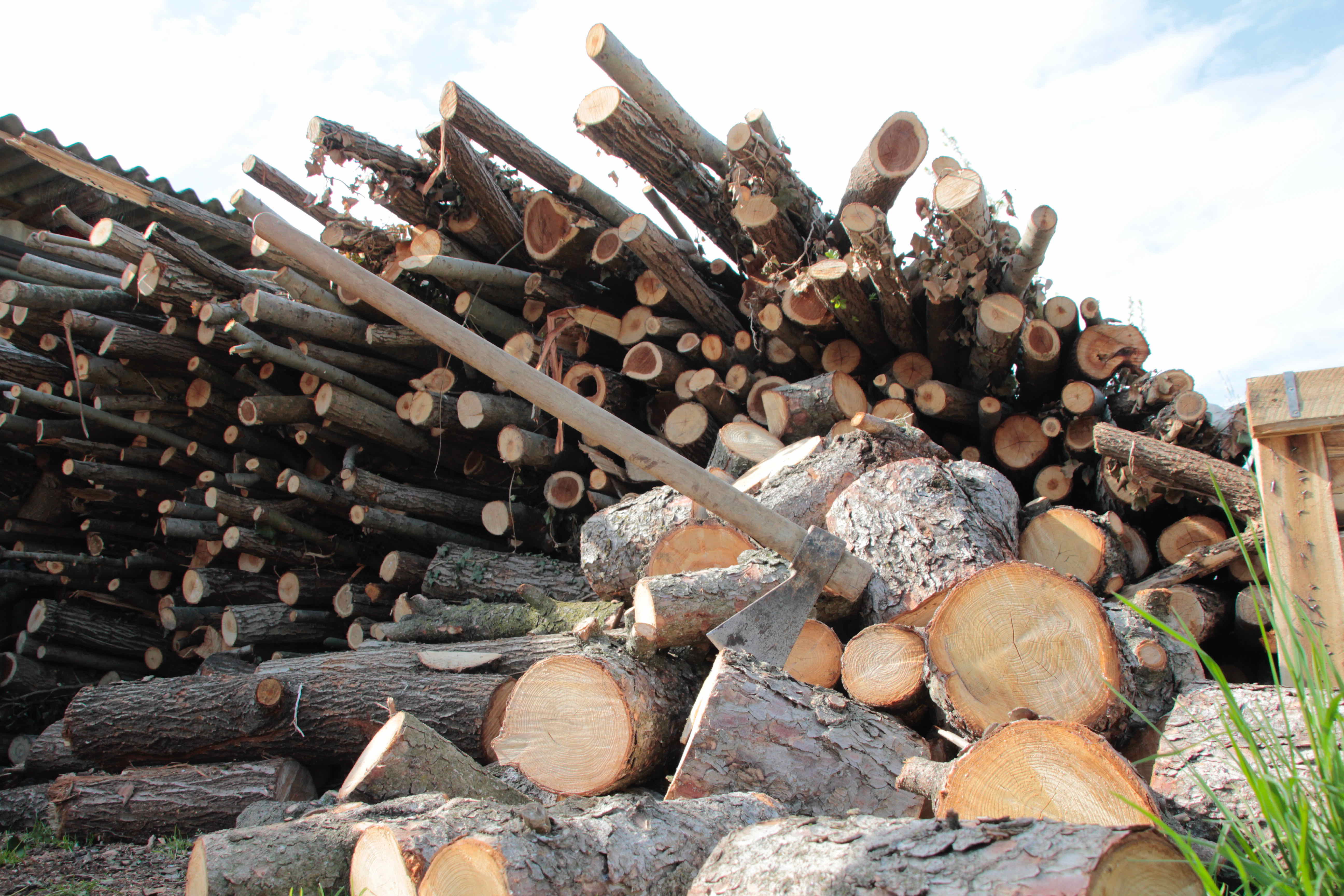 Mauro Casaro - Un tuffo nel passato