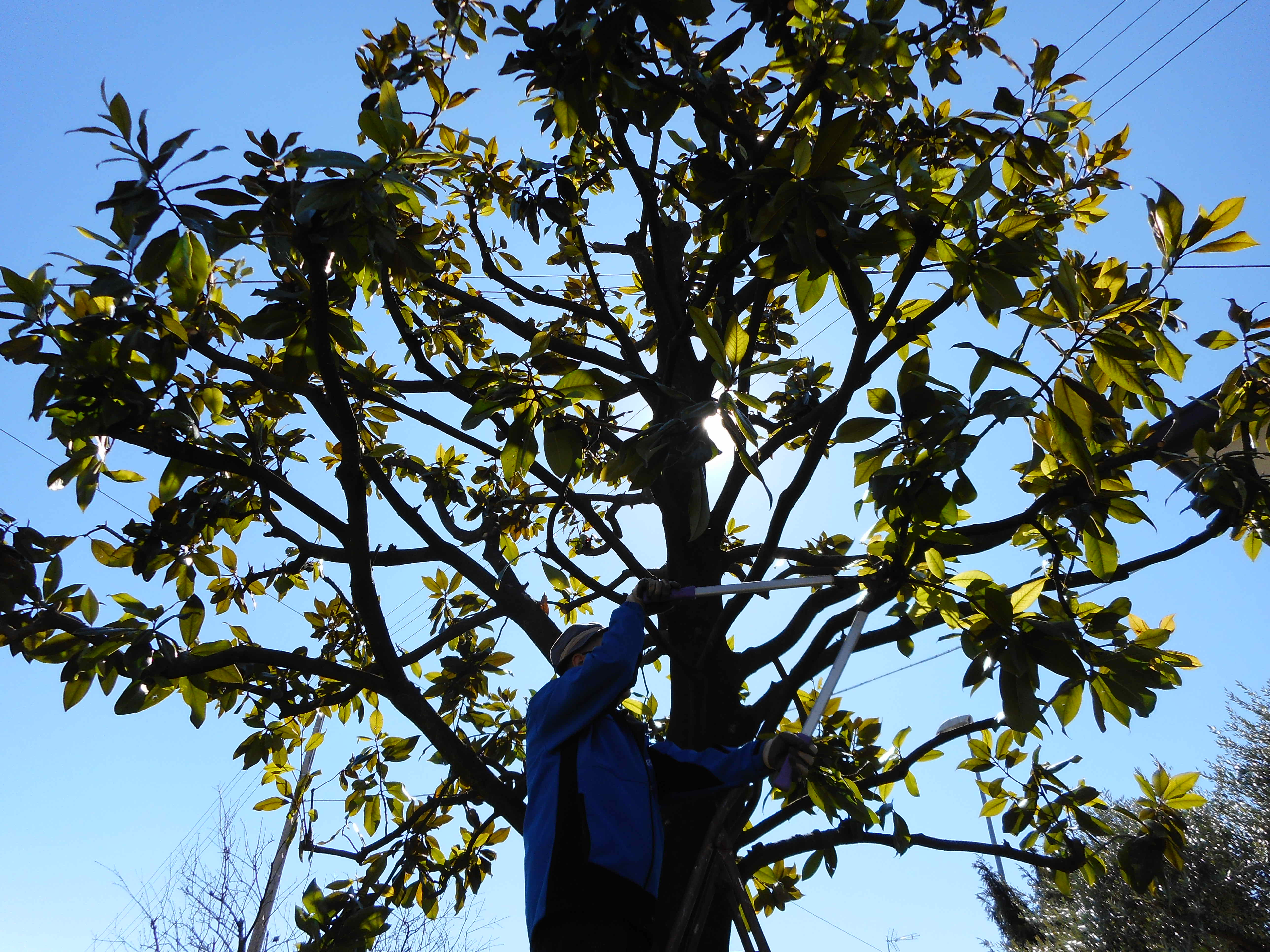 Bruna Zanella - Innaffiare aiuola