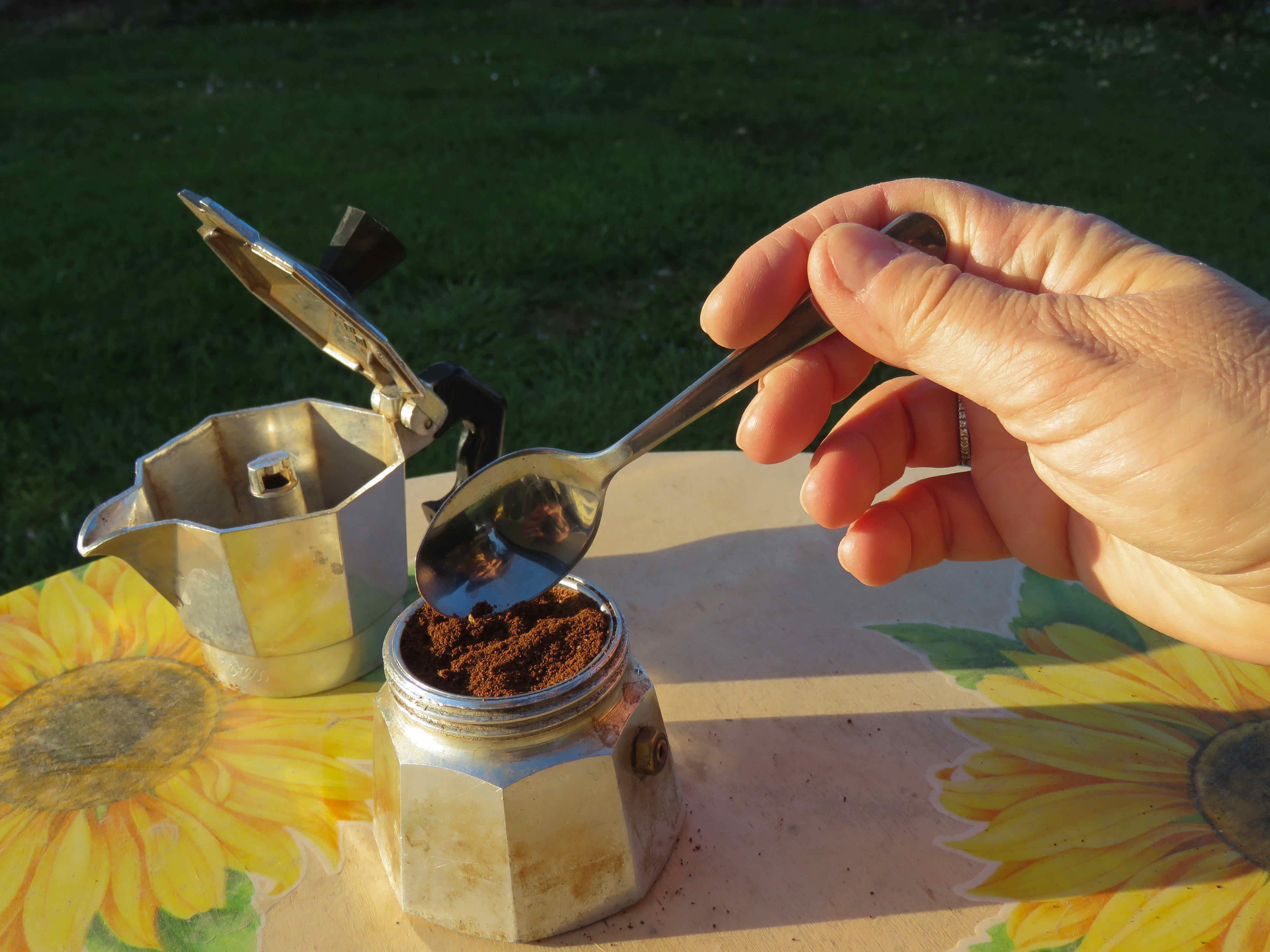 Stefania Nardini - Il vizio del mattino