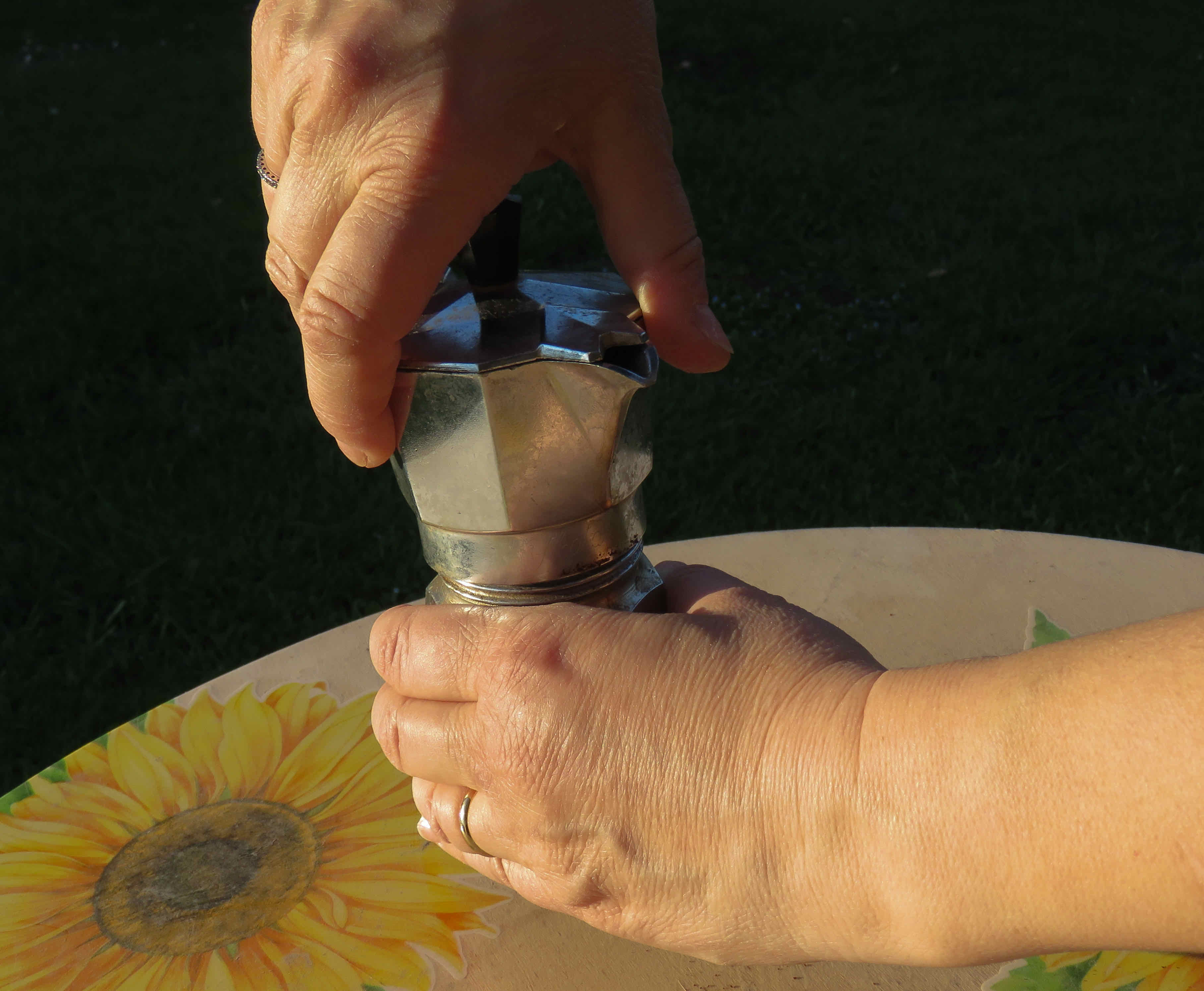 Stefania Nardini - Il vizio del mattino