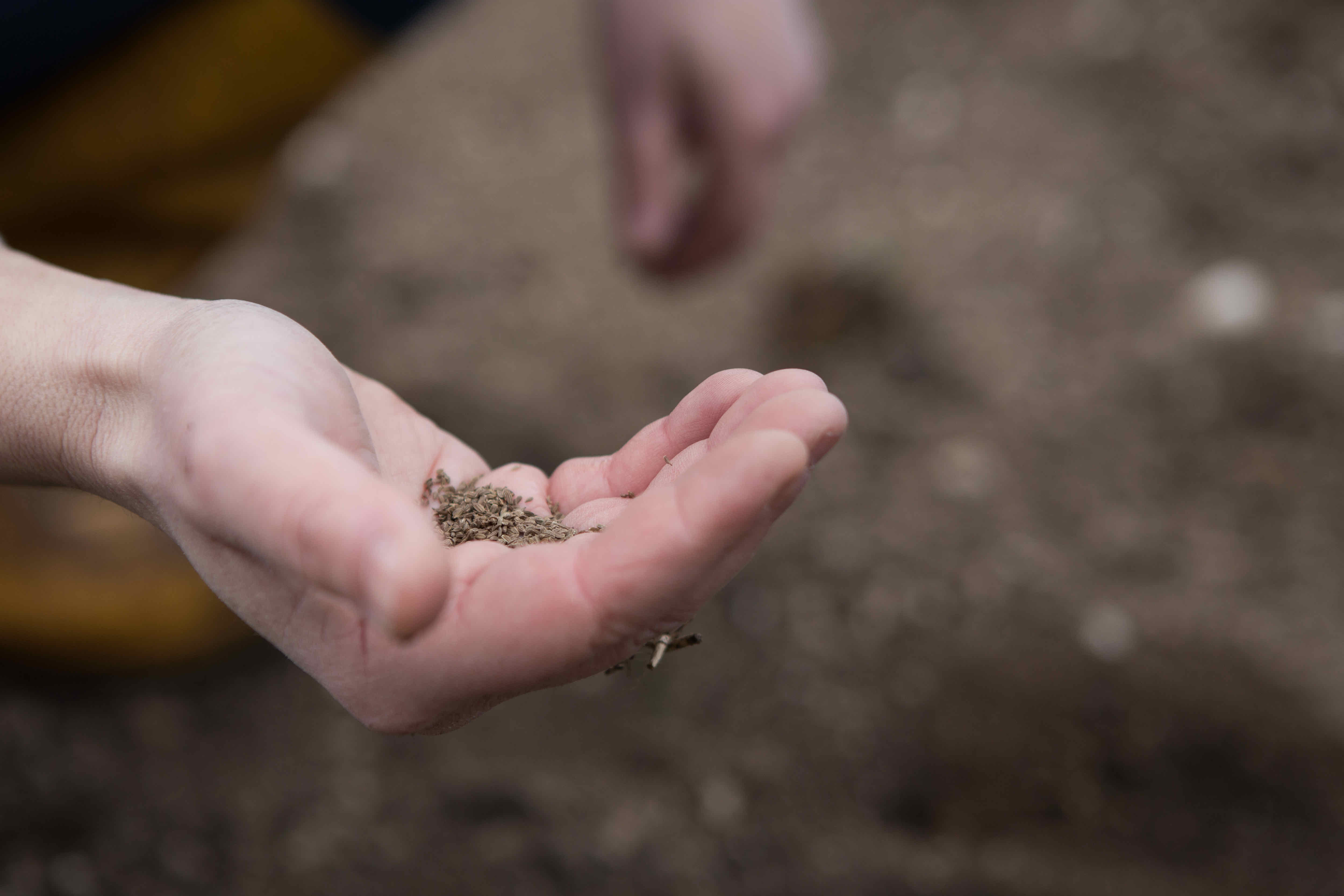 Fabio Passador - La cura dell'orto