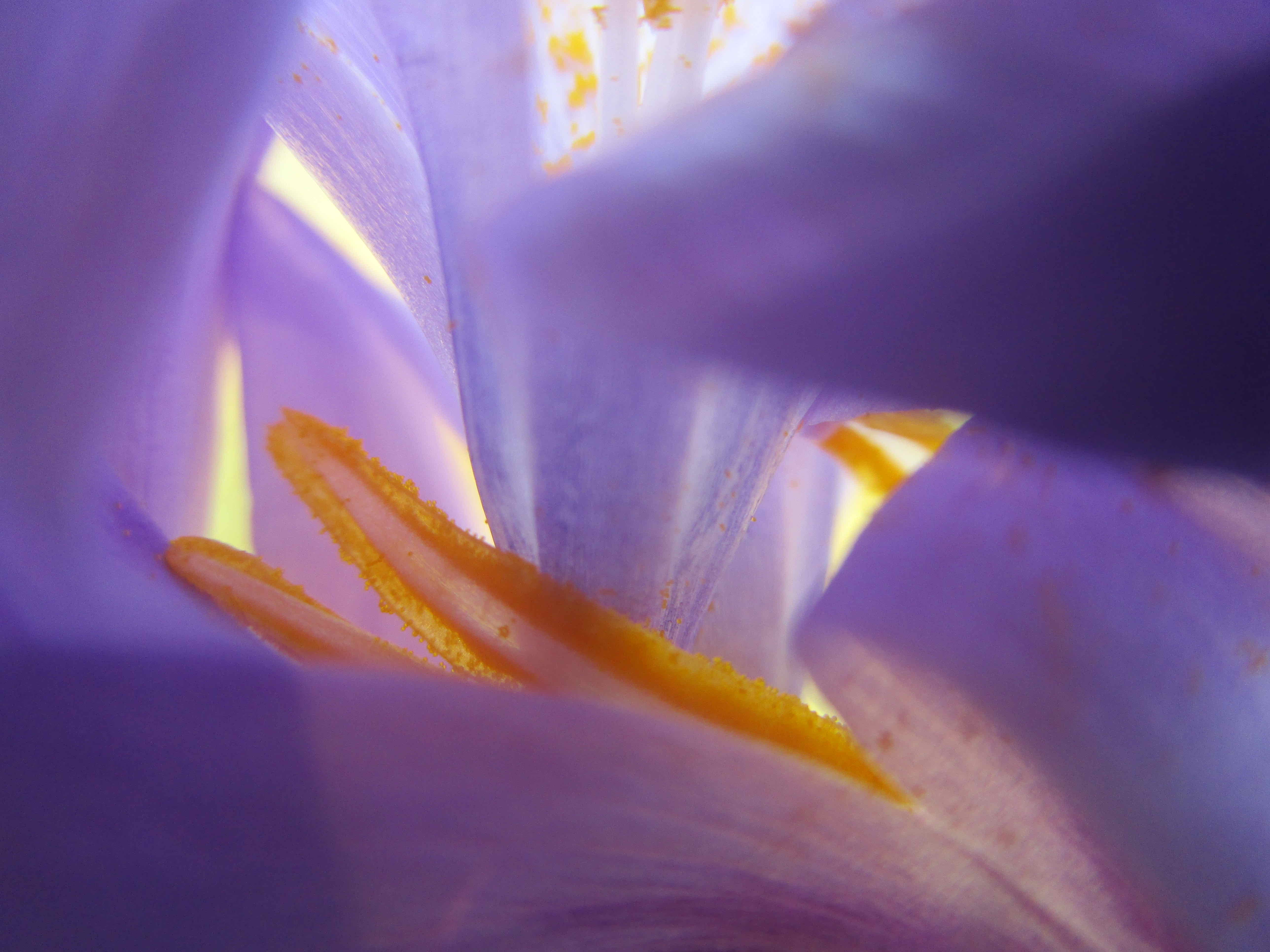 Dario Scotti - Luce e colore