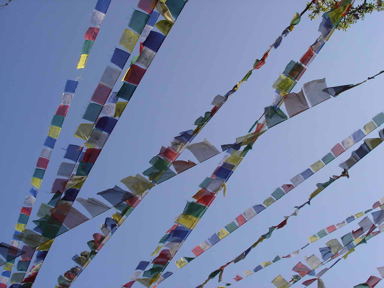 Nadia Todesco - Peruviani